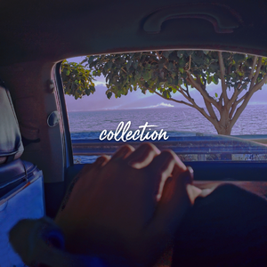 人与兽交配视频
